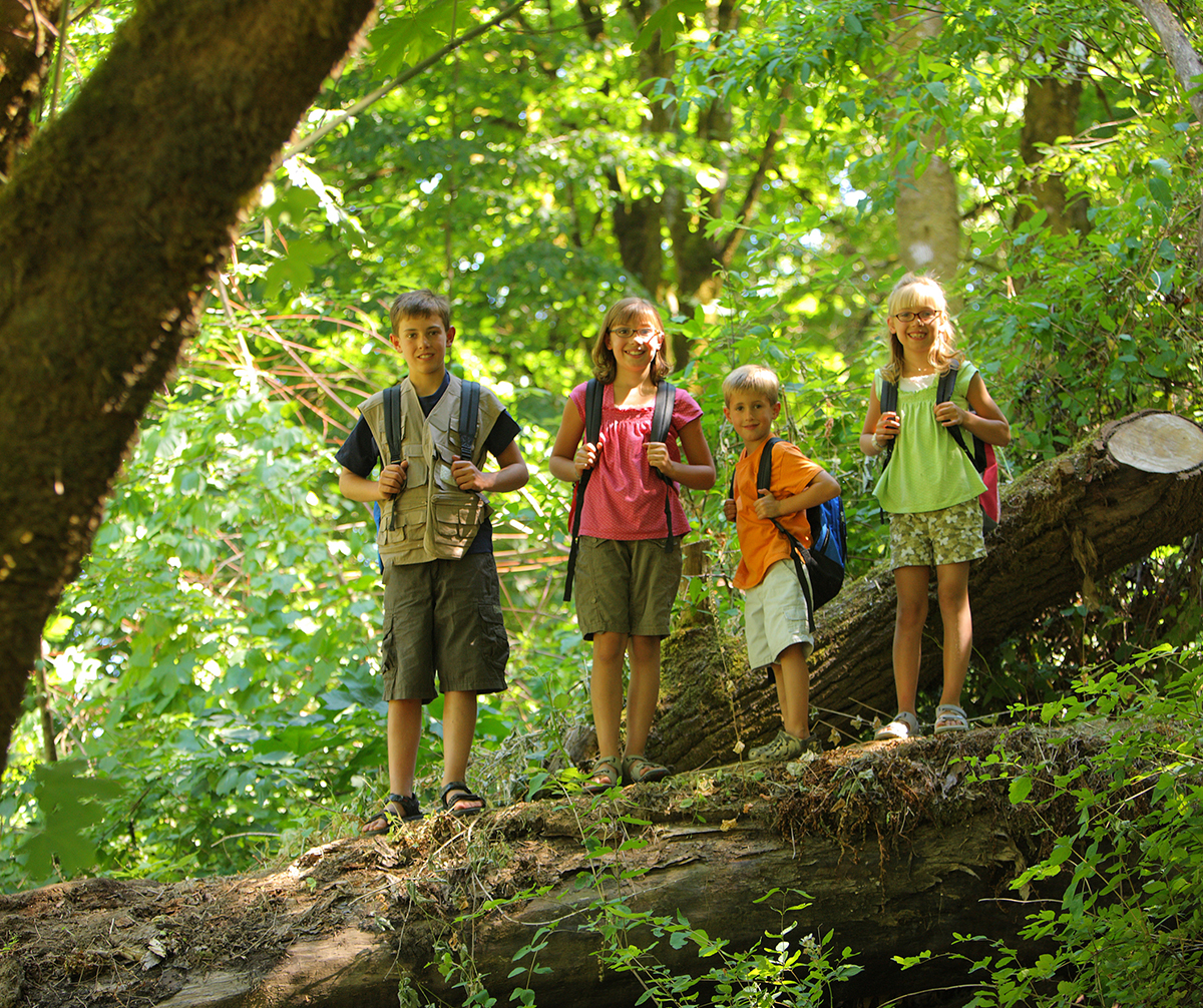 Походы детей в лес. Летний лагерь природа. Детский лагерь на природе. Поход в лес. Детские лагеря в лесу.